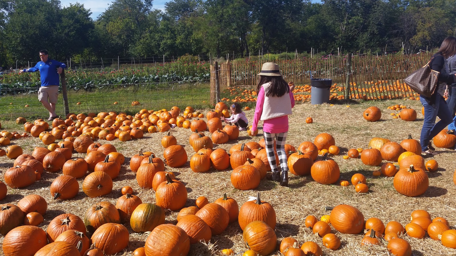 Photo of Green Meadows Farm in Floral Park City, New York, United States - 1 Picture of Food, Point of interest, Establishment, Museum