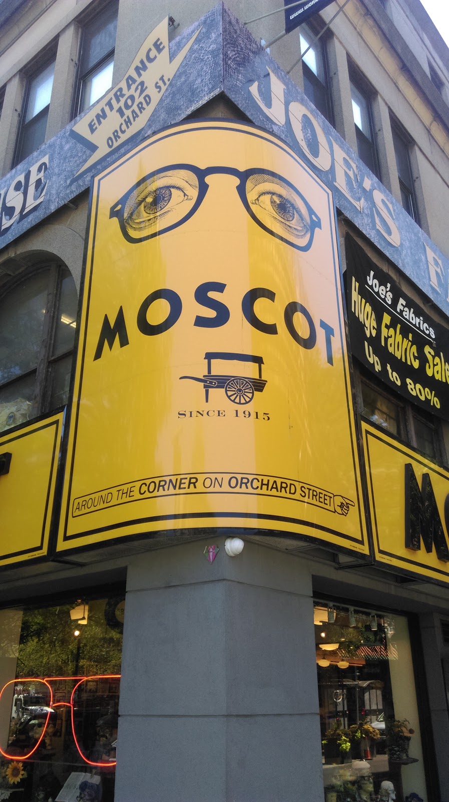 Photo of MOSCOT in New York City, New York, United States - 9 Picture of Point of interest, Establishment, Health