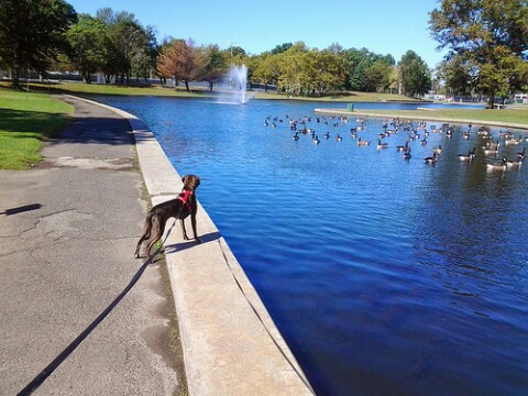 Photo of Lincoln Park in Jersey City, New Jersey, United States - 8 Picture of Point of interest, Establishment, Park