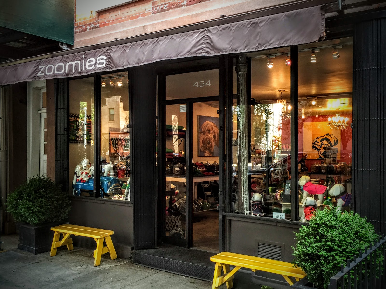 Photo of Zoomies in New York City, New York, United States - 2 Picture of Point of interest, Establishment, Store, Pet store