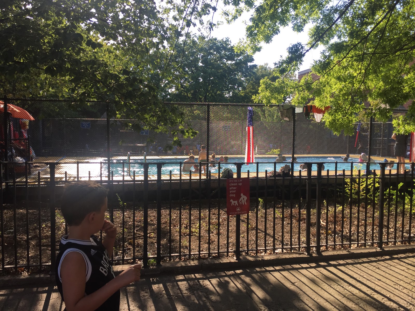 Photo of PS 20 Playground Mini Pool in Kings County City, New York, United States - 2 Picture of Point of interest, Establishment