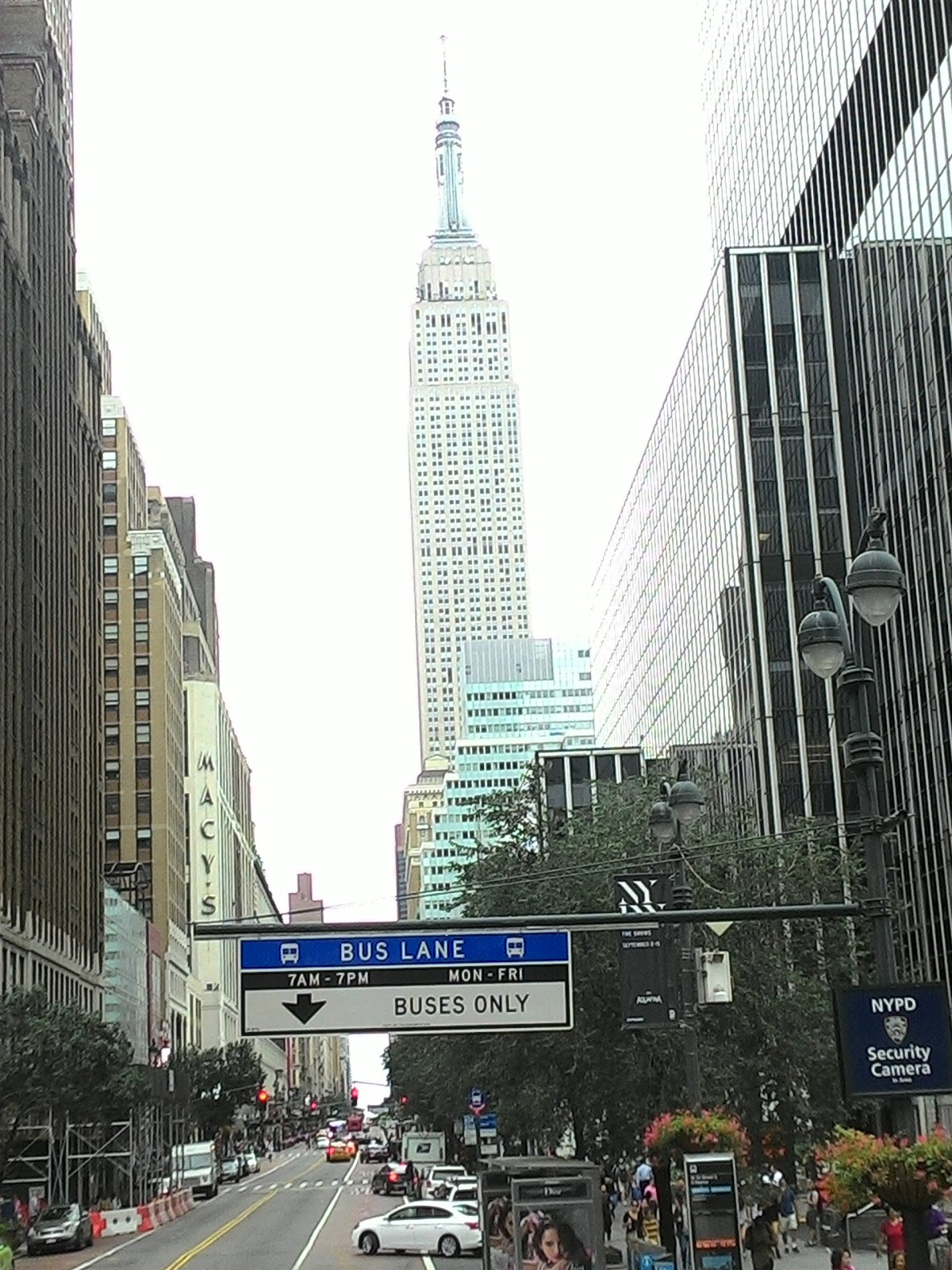 Photo of Obscura Antiques & Oddities in New York City, New York, United States - 1 Picture of Point of interest, Establishment, Store