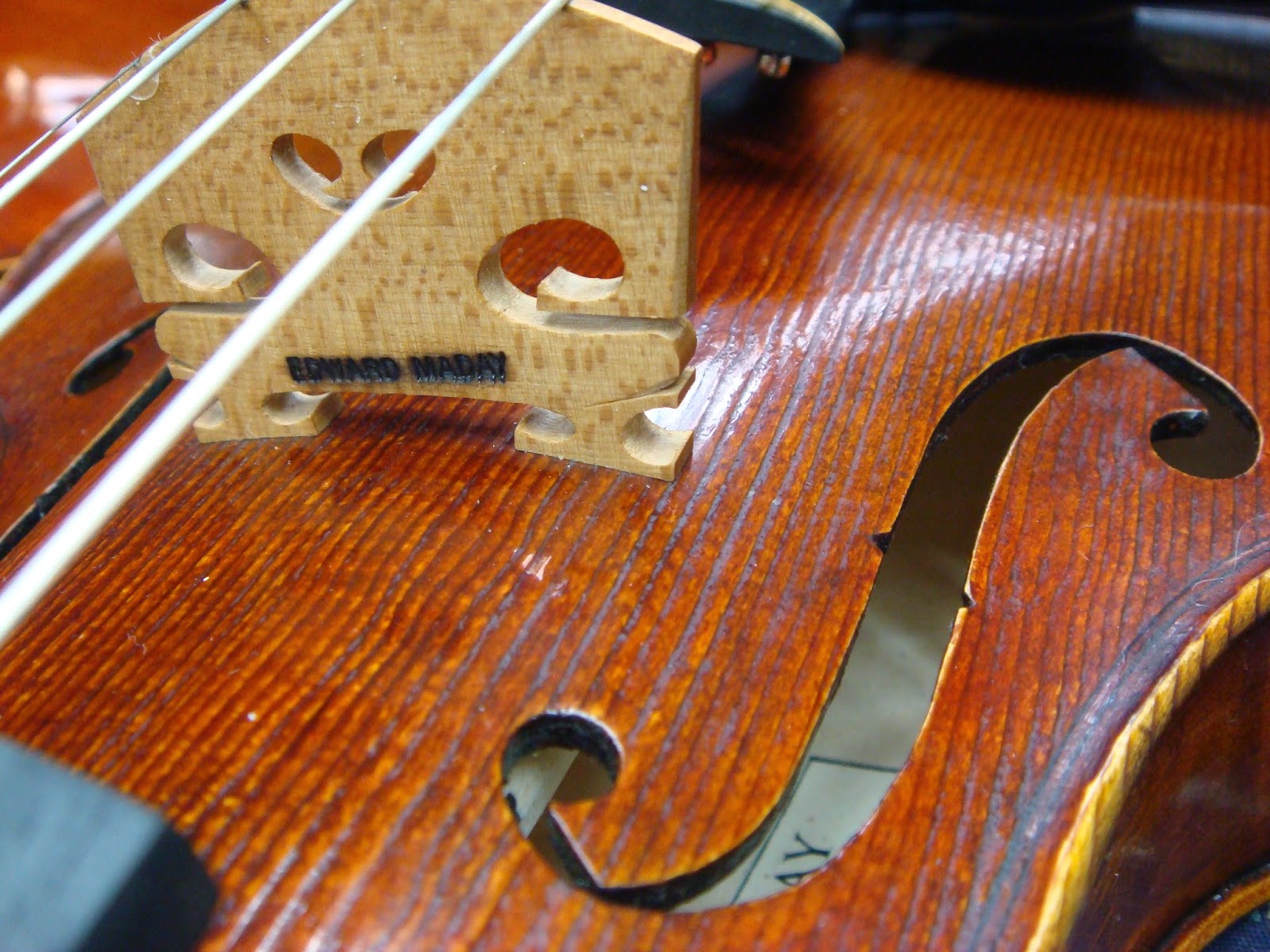 Photo of Edward Maday Violin and Viol Maker in Woodmere City, New York, United States - 4 Picture of Point of interest, Establishment, Store