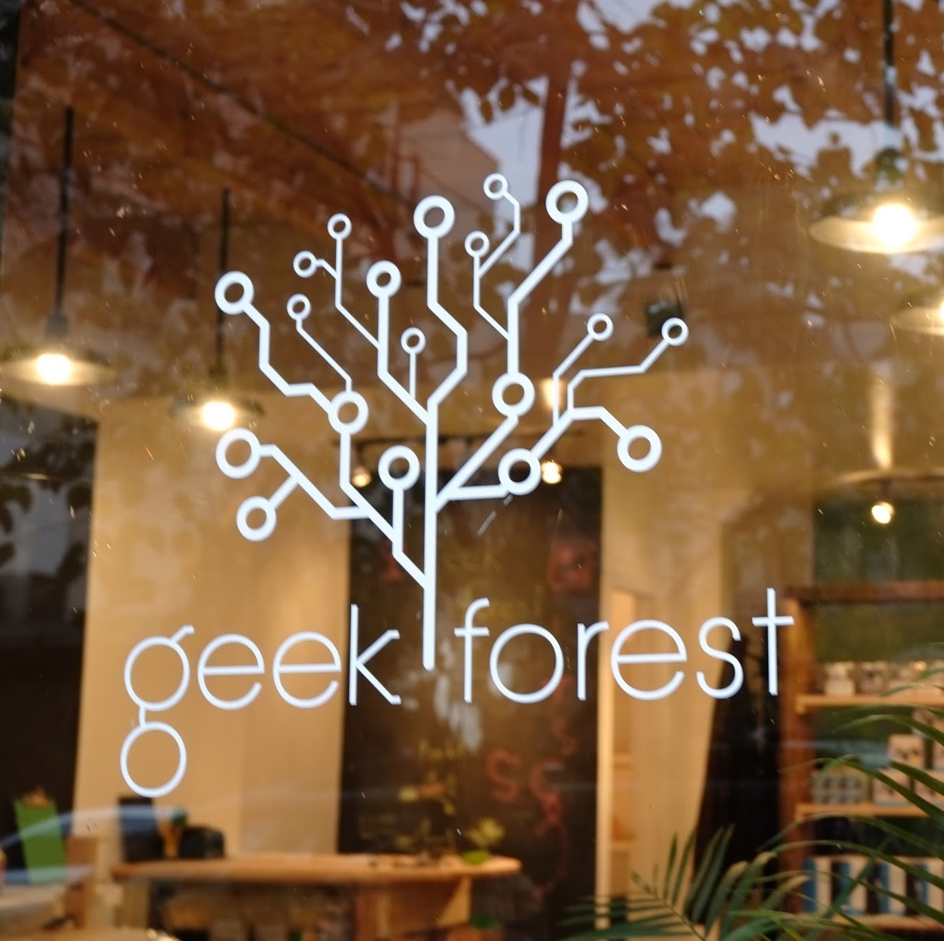 Photo of Geek Forest in Kings County City, New York, United States - 1 Picture of Point of interest, Establishment, Store, Electronics store