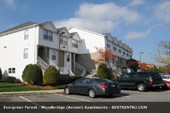 Photo of Evergreen Forest Apartments in Avenel City, New Jersey, United States - 3 Picture of Point of interest, Establishment, Real estate agency