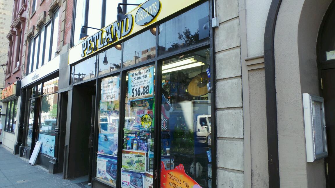 Photo of Petland Discounts - Greenwich Vill. in New York City, New York, United States - 1 Picture of Point of interest, Establishment, Store, Pet store