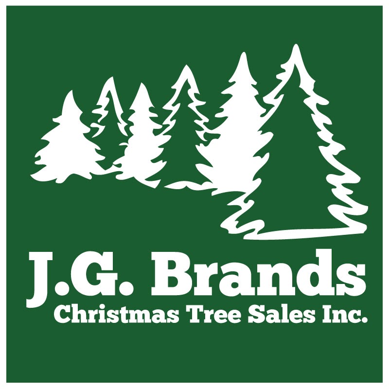Photo of J.G. Brands Christmas Tree Sales, Inc. in Jamaica City, New York, United States - 2 Picture of Point of interest, Establishment, Store