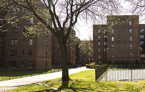 Photo of Flatbush Gardens in Brooklyn City, New York, United States - 1 Picture of Point of interest, Establishment, Real estate agency