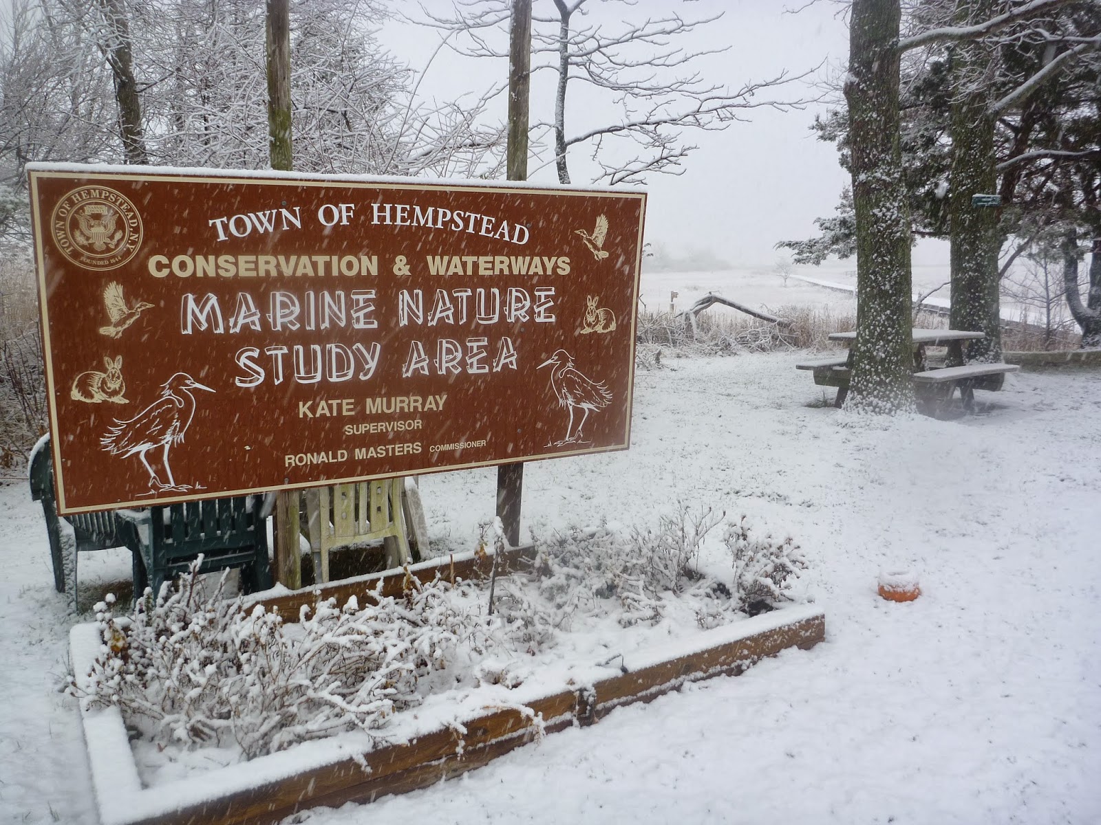 Photo of Marine Nature Study Area in Oceanside City, New York, United States - 1 Picture of Point of interest, Establishment