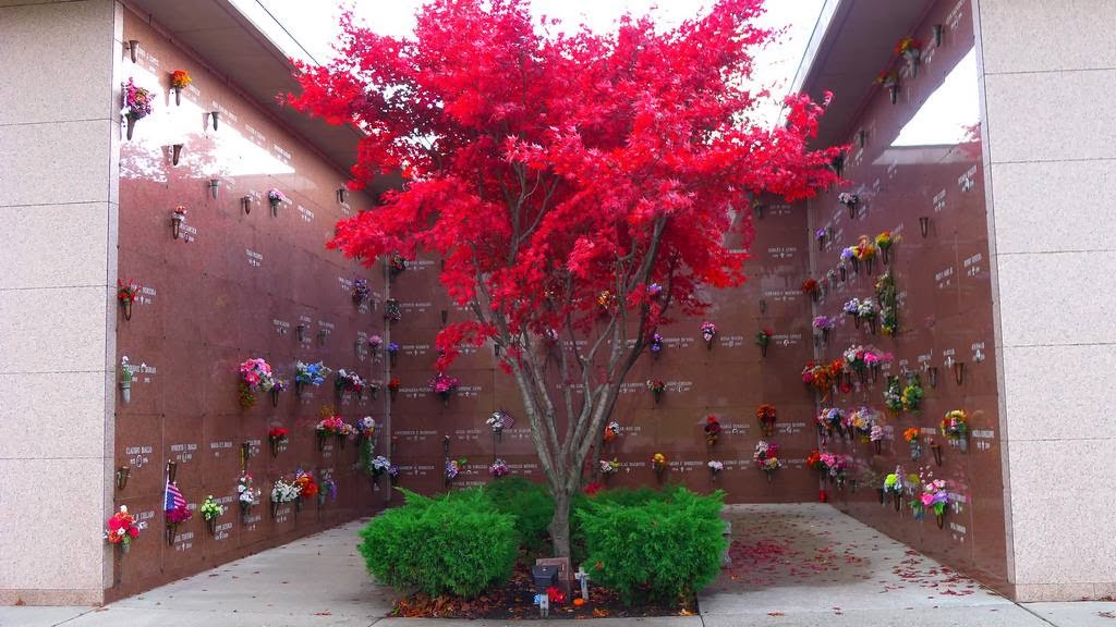 Photo of St. Michael's Cemetery in East Elmhurst City, New York, United States - 4 Picture of Point of interest, Establishment, Funeral home, Cemetery