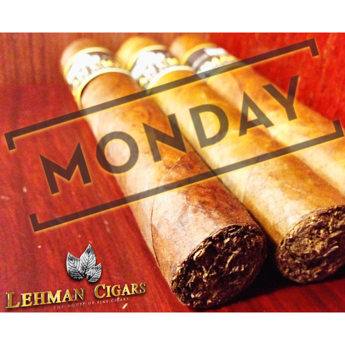 Photo of Lehman Cigars in Bronx City, New York, United States - 5 Picture of Point of interest, Establishment, Store