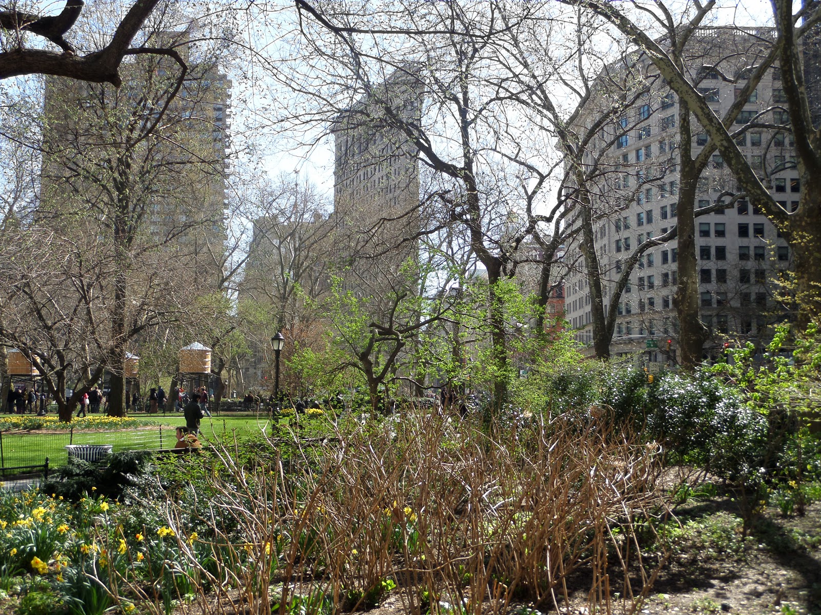 Photo of Madison Square Gardens in New York City, New York, United States - 1 Picture of Point of interest, Establishment