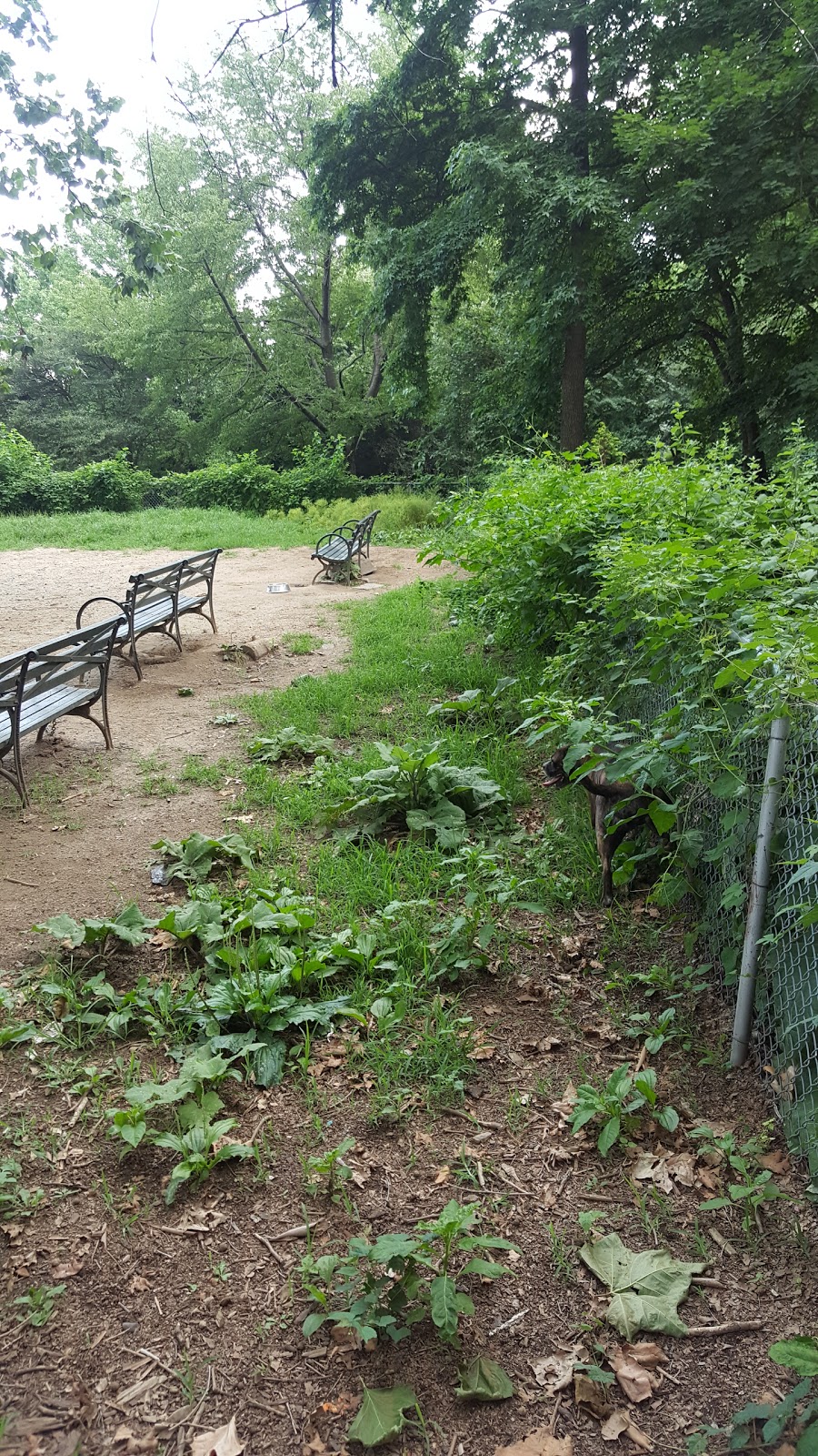 Photo of Ewen Park in Bronx City, New York, United States - 5 Picture of Point of interest, Establishment, Park