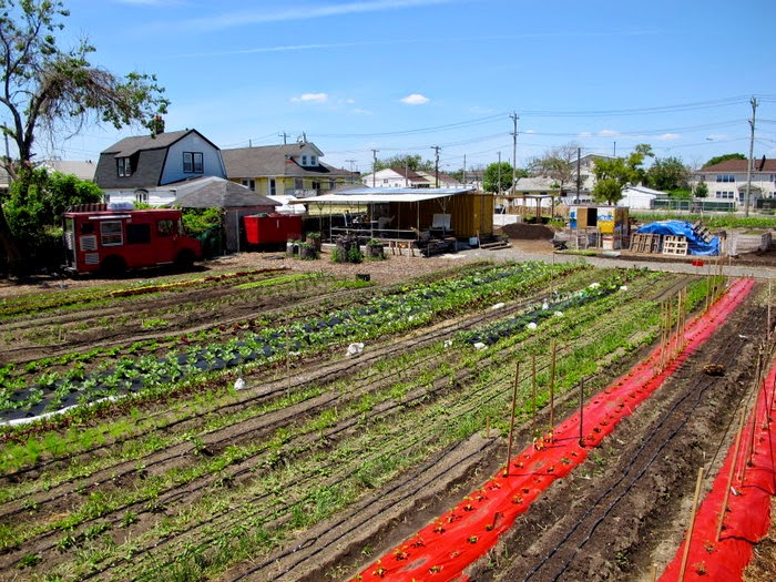 Photo of Edgemere Farm in Far Rockaway City, New York, United States - 1 Picture of Food, Point of interest, Establishment