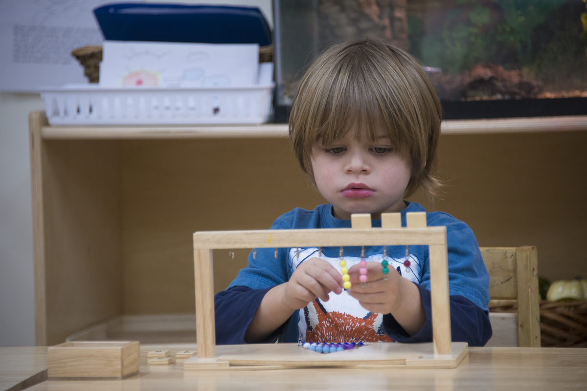 Photo of Bergen-Lafayette Montessori School in Jersey City, New Jersey, United States - 4 Picture of Point of interest, Establishment, School