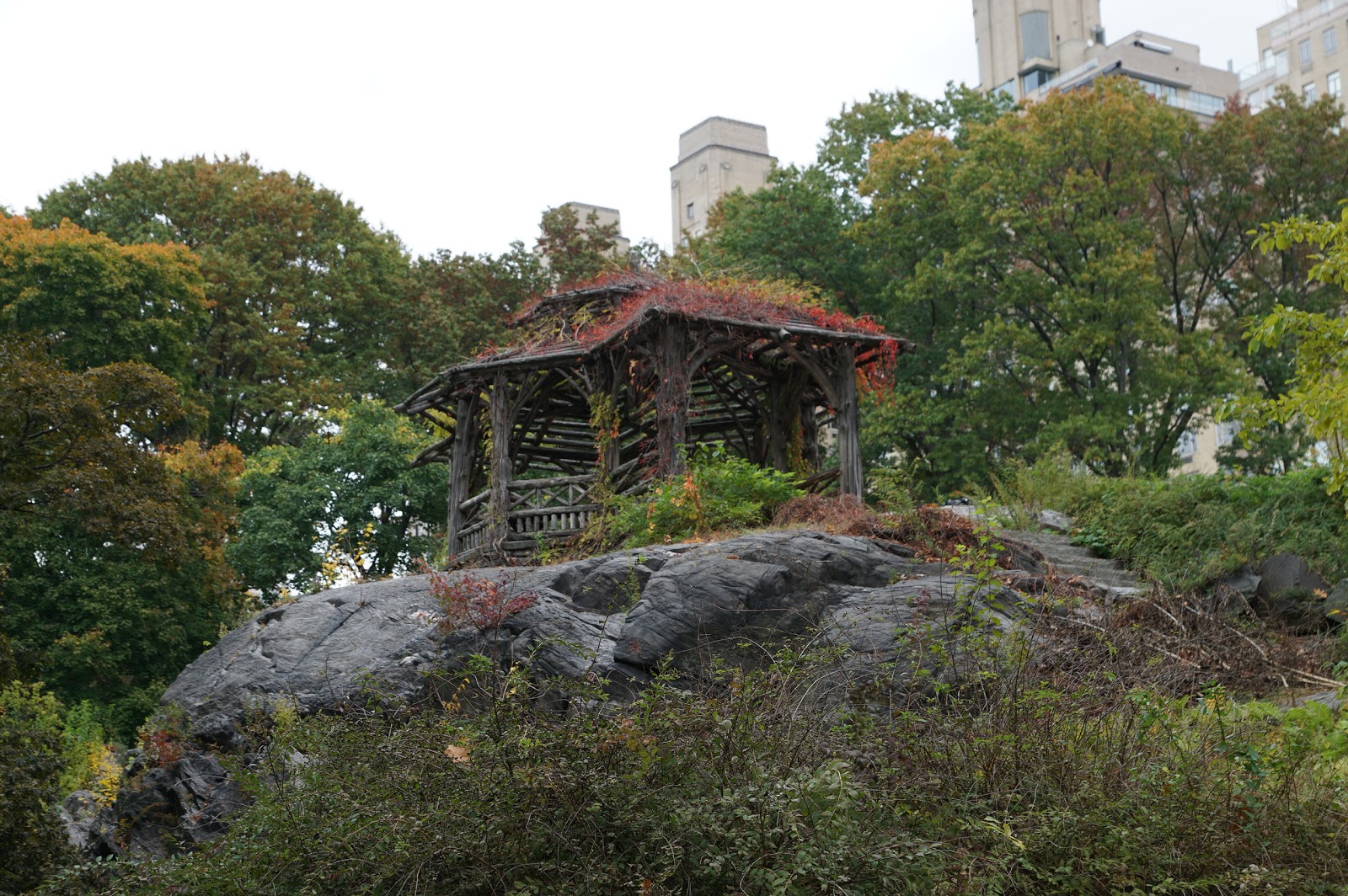 Photo of A Treehouse For Dreaming in New York City, New York, United States - 8 Picture of Point of interest, Establishment