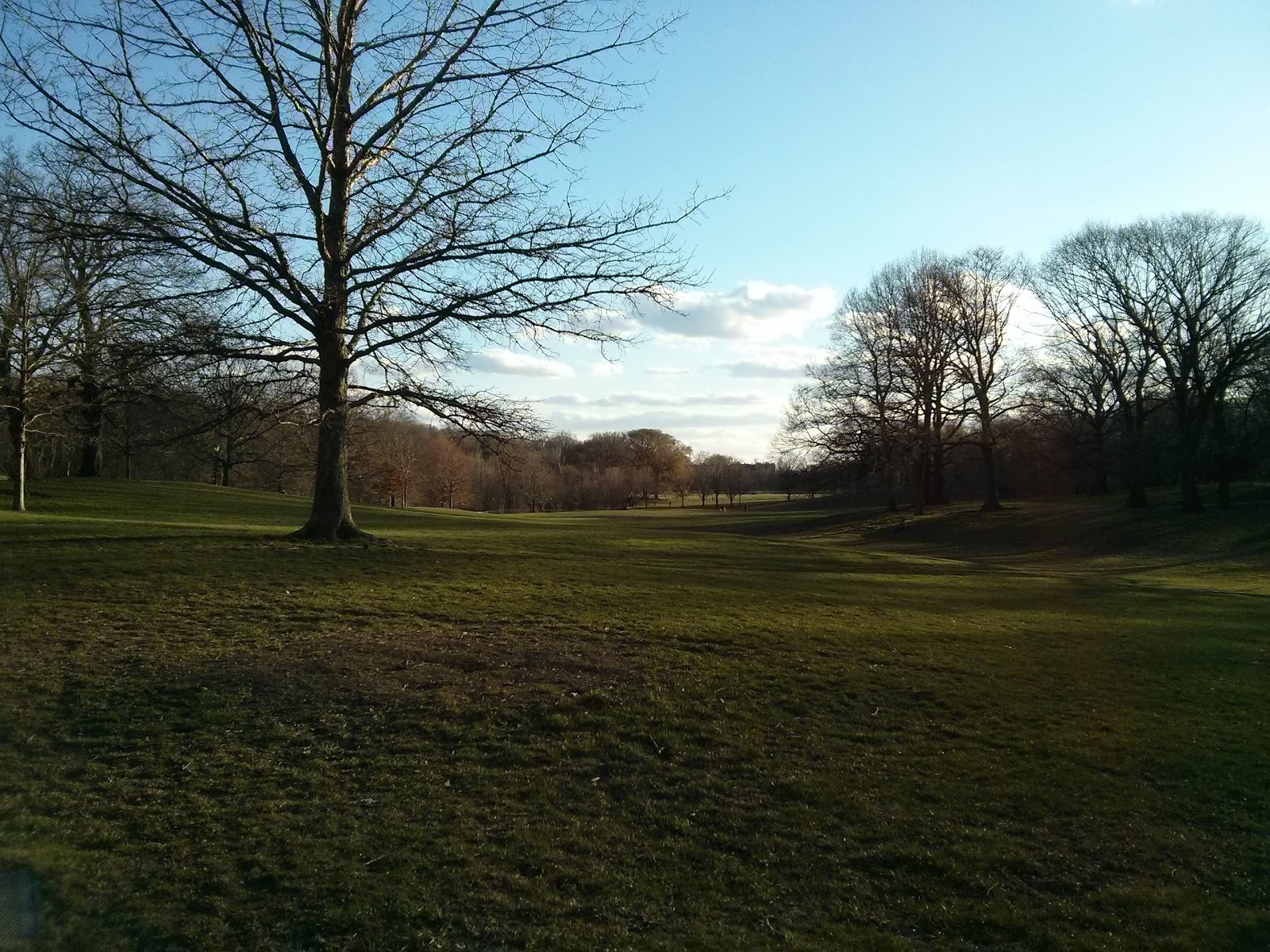 Photo of Prospect Park - Ravine in Kings County City, New York, United States - 2 Picture of Point of interest, Establishment, Park, Natural feature