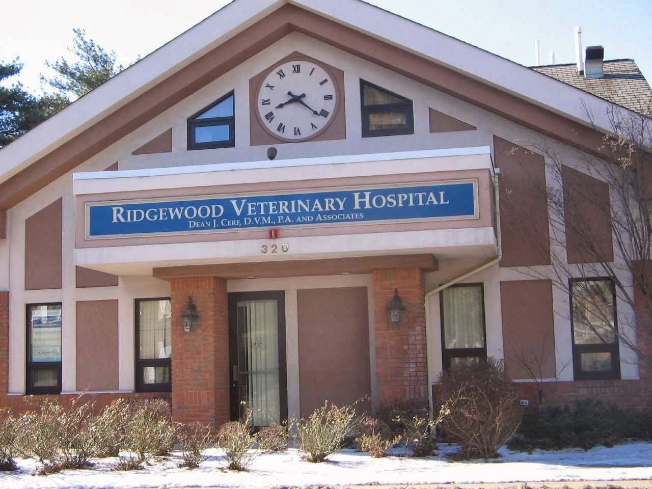 Photo of Ridgewood Veterinary Hospital in Ridgewood City, New Jersey, United States - 1 Picture of Point of interest, Establishment, Health, Veterinary care