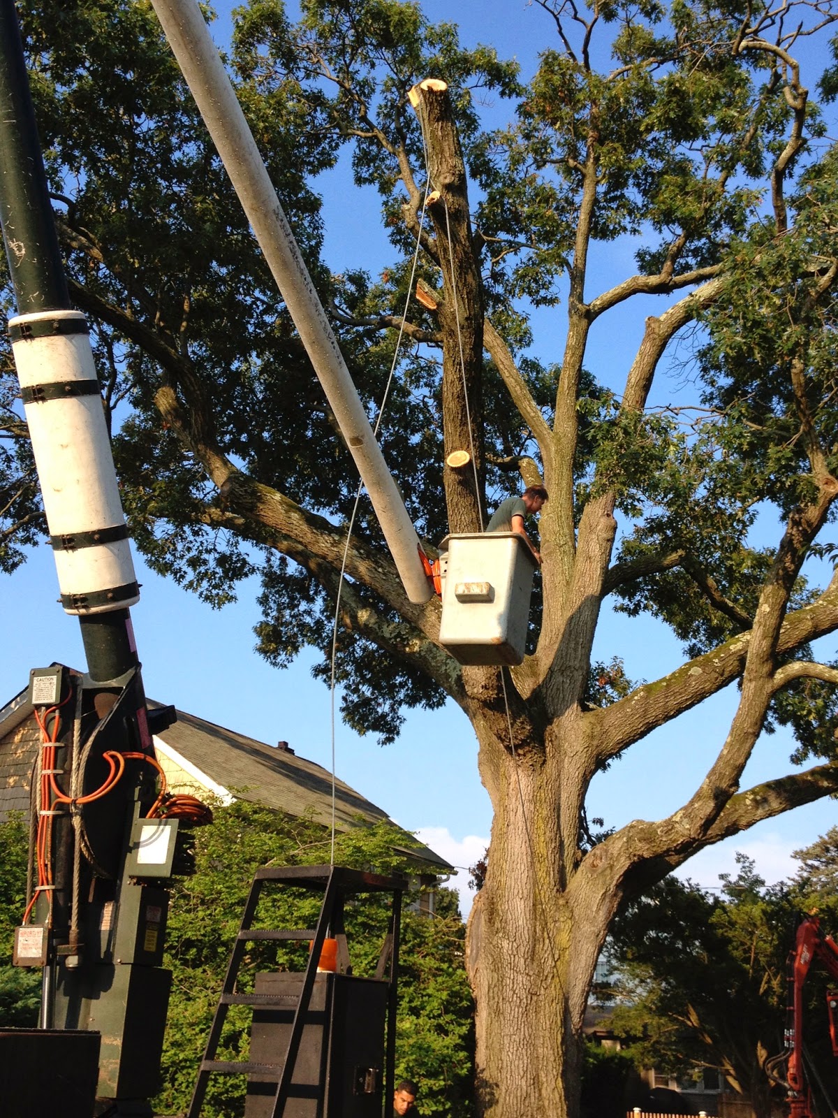 Photo of Howard's Tree Service Inc in Oceanside City, New York, United States - 3 Picture of Point of interest, Establishment, General contractor