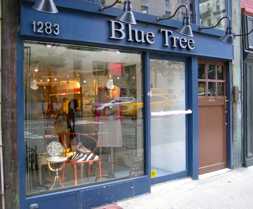 Photo of Blue Tree in New York City, New York, United States - 6 Picture of Point of interest, Establishment, Store, Clothing store