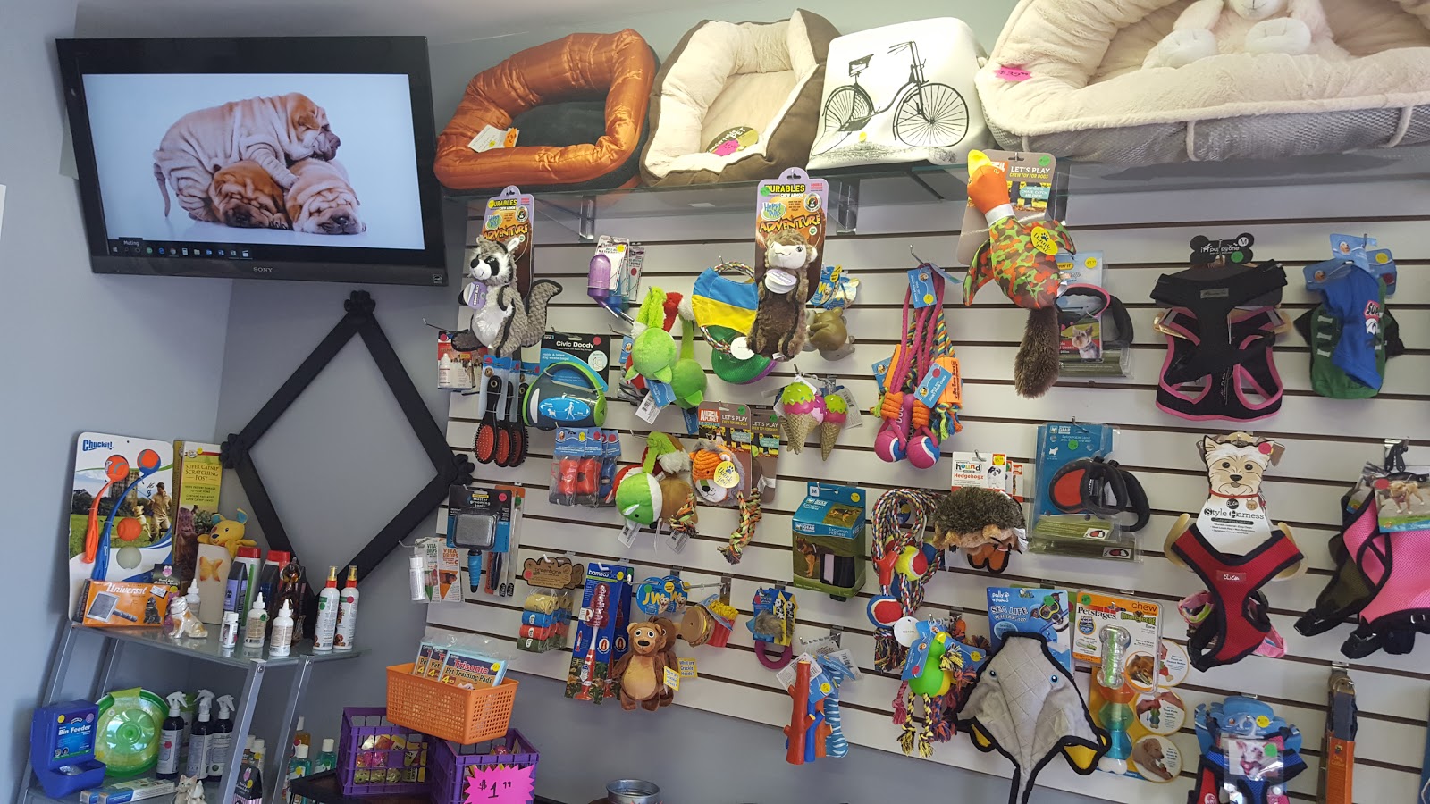 Photo of Furry Planet Pet Grooming in Elmhurst City, New York, United States - 10 Picture of Point of interest, Establishment