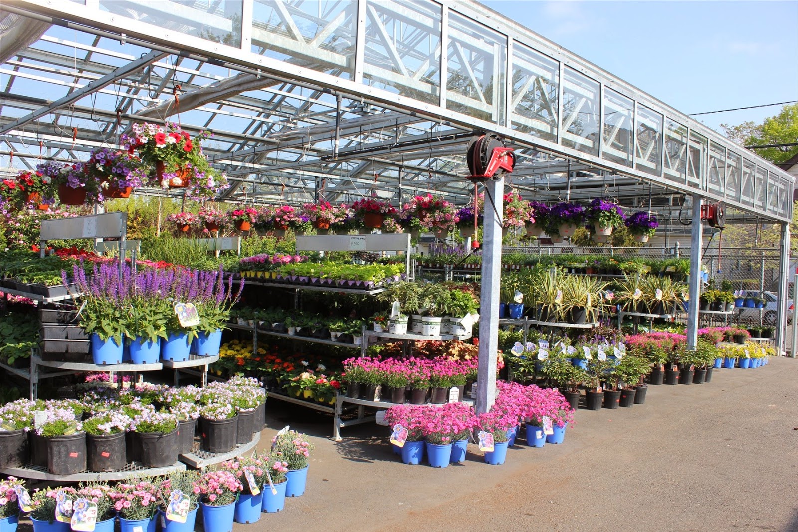 Photo of Orange Garden Center in City of Orange, New Jersey, United States - 1 Picture of Point of interest, Establishment, Store