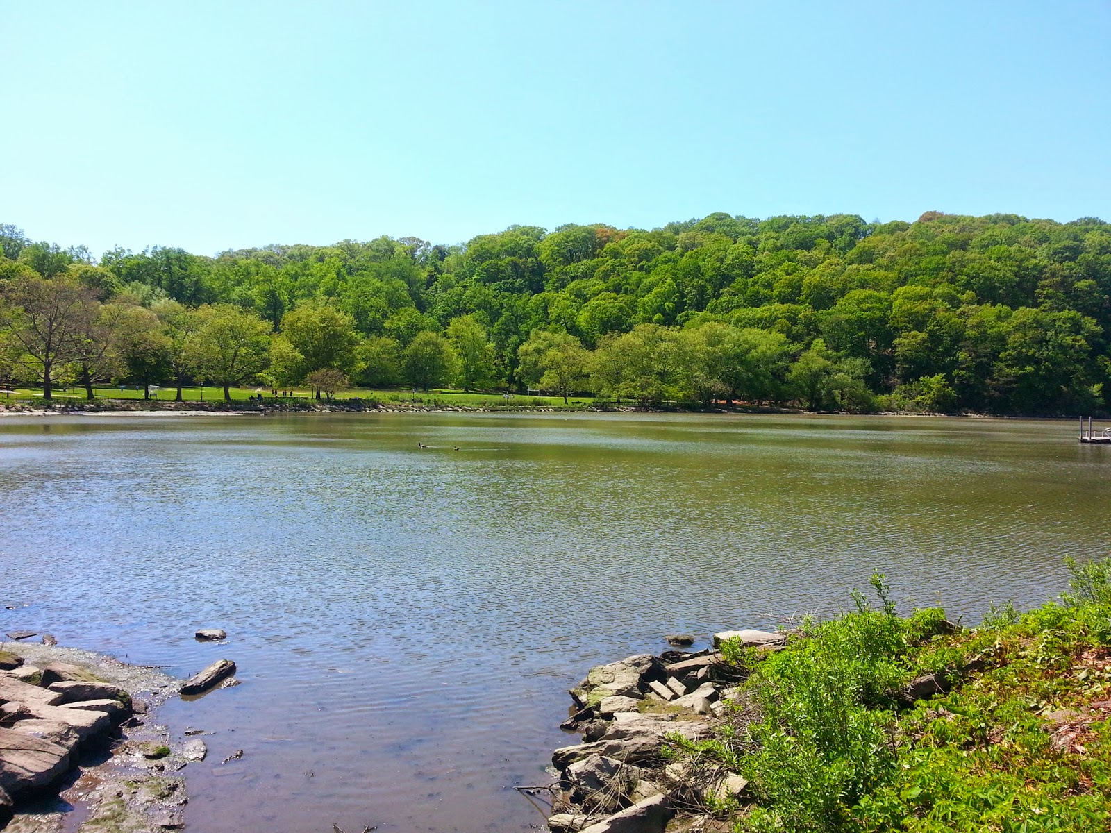 Photo of Inwood Hill Park in New York City, New York, United States - 5 Picture of Point of interest, Establishment, Park