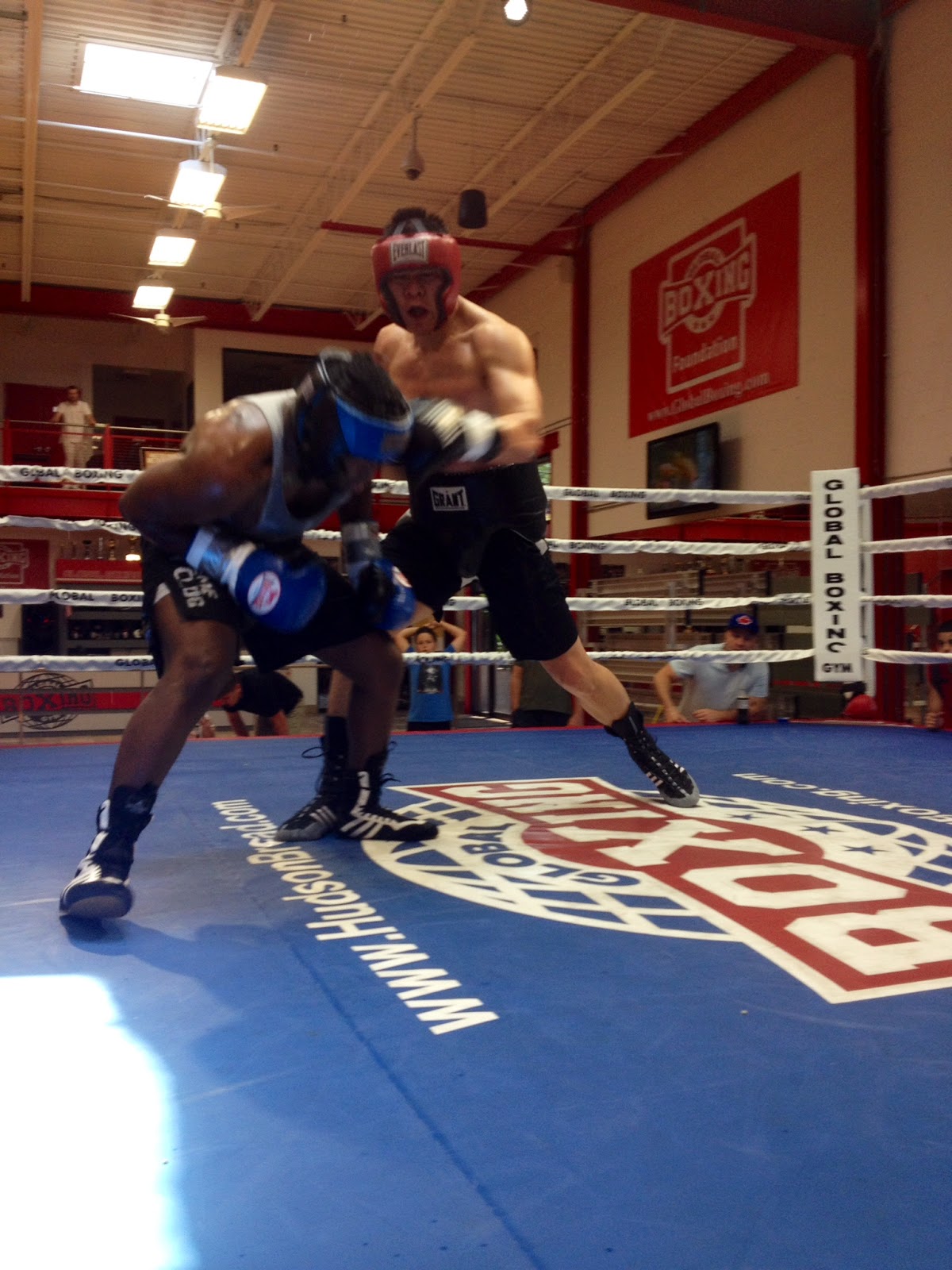 Photo of Global Boxing in North Bergen City, New Jersey, United States - 6 Picture of Point of interest, Establishment