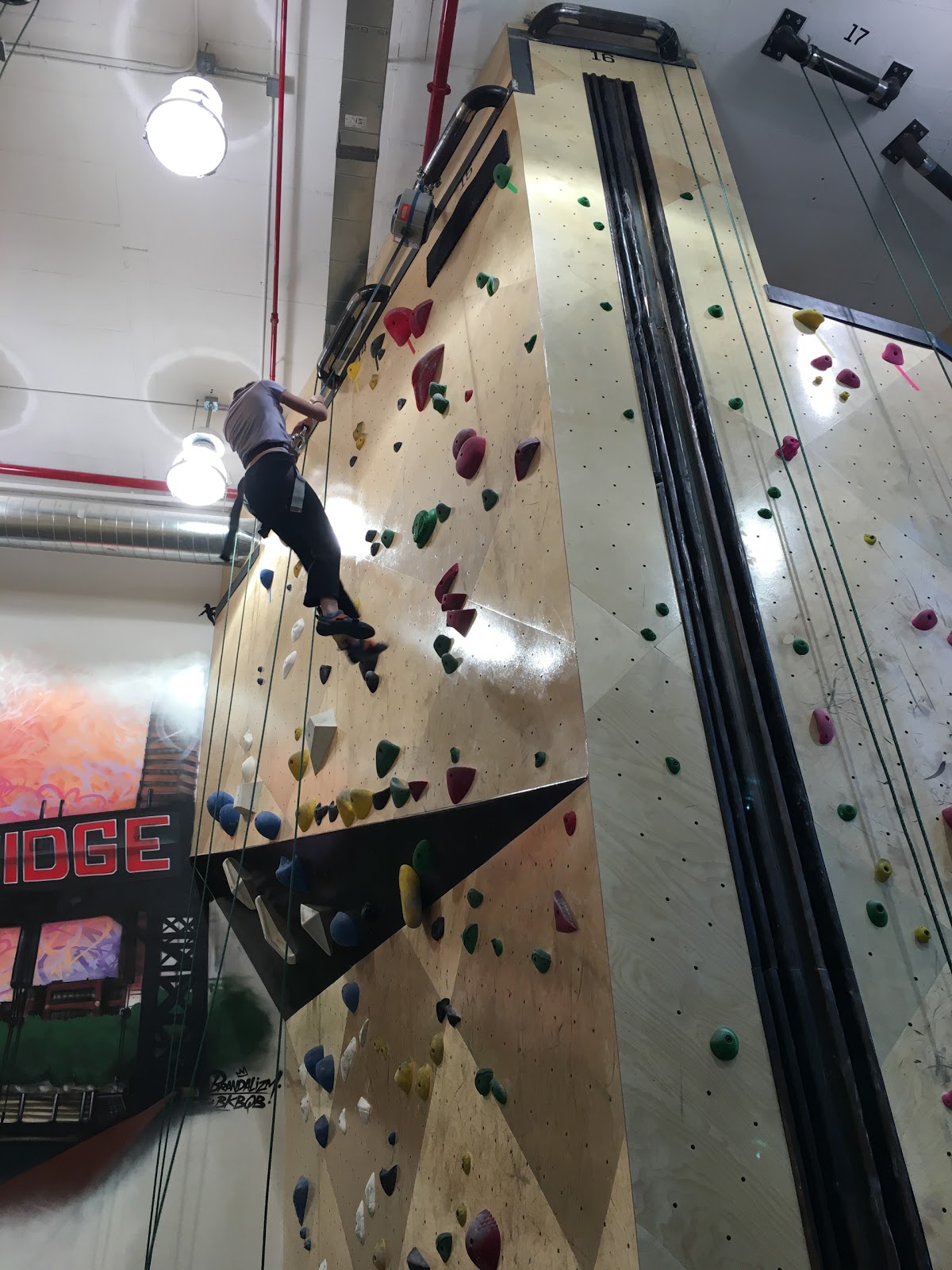 Photo of Brooklyn Boulders Queensbridge in Queens City, New York, United States - 2 Picture of Point of interest, Establishment