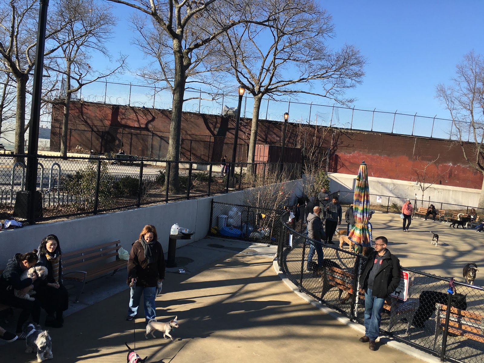 Photo of Torsney Playground in Long Island City, New York, United States - 6 Picture of Point of interest, Establishment
