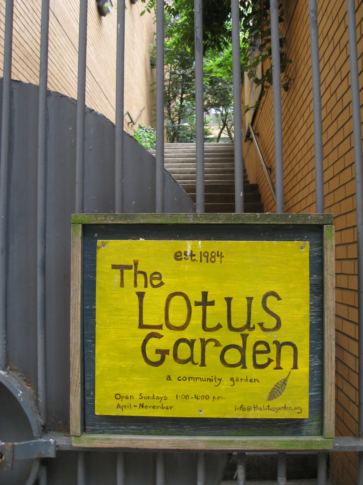 Photo of Lotus Garden in New York City, New York, United States - 2 Picture of Point of interest, Establishment, Park