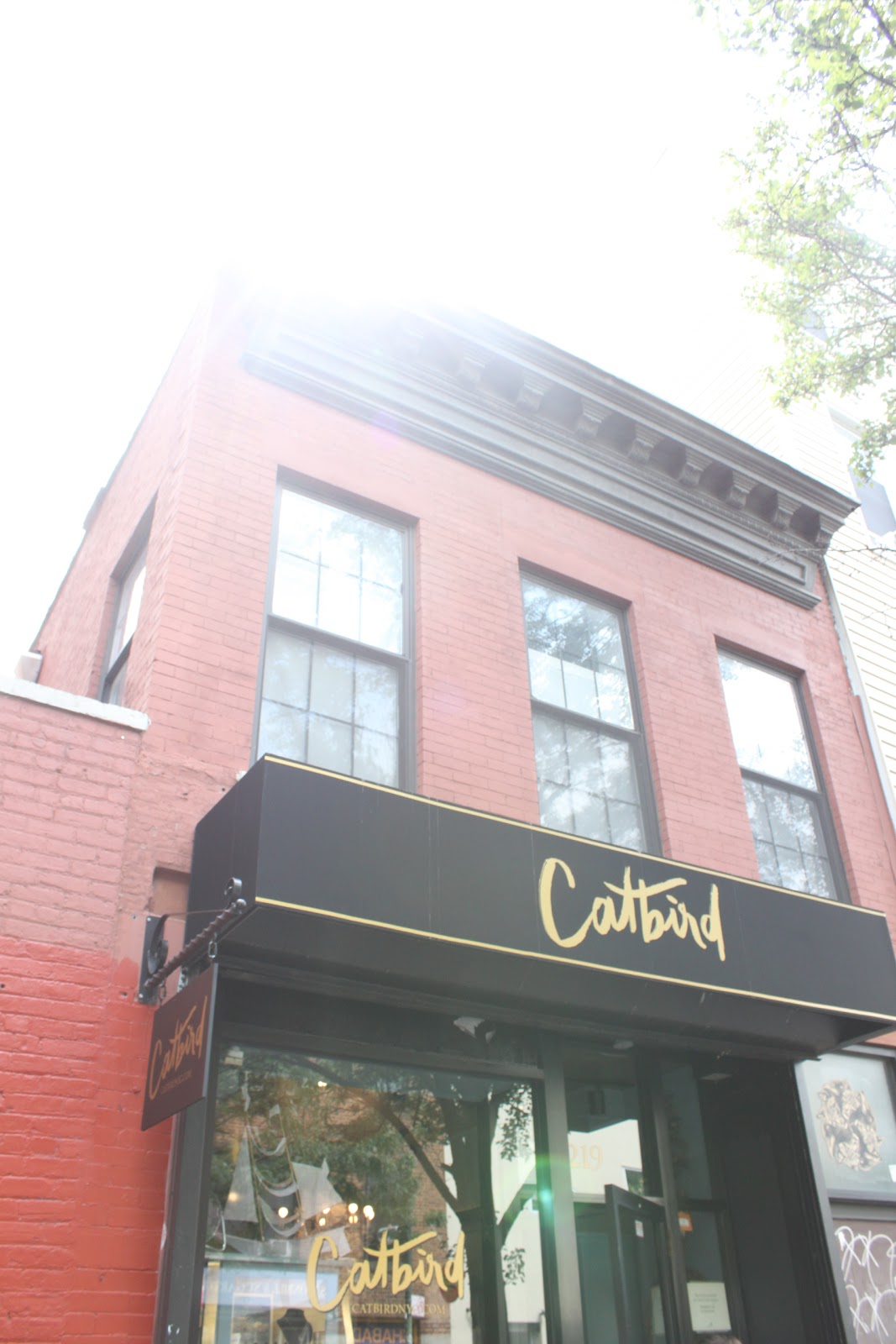 Photo of Catbird in Kings County City, New York, United States - 2 Picture of Point of interest, Establishment, Store, Jewelry store, Clothing store