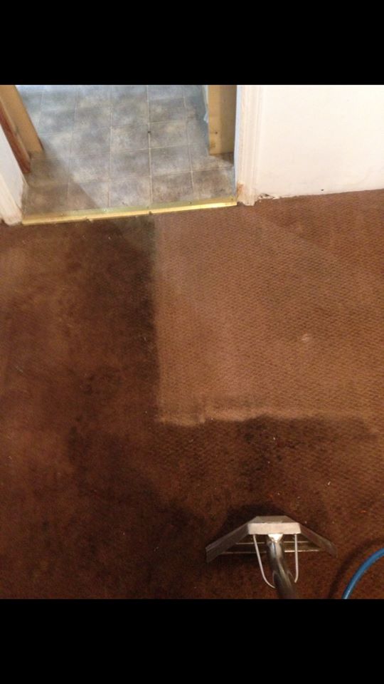 Photo of Accurate Carpet Cleaning in Richmond City, New York, United States - 8 Picture of Point of interest, Establishment, General contractor, Laundry