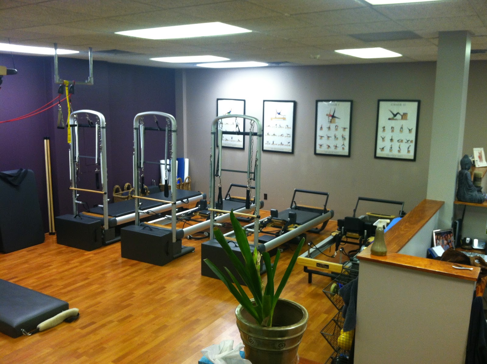 Photo of Activ Balance Center in Fort Lee City, New Jersey, United States - 1 Picture of Point of interest, Establishment, Health, Gym