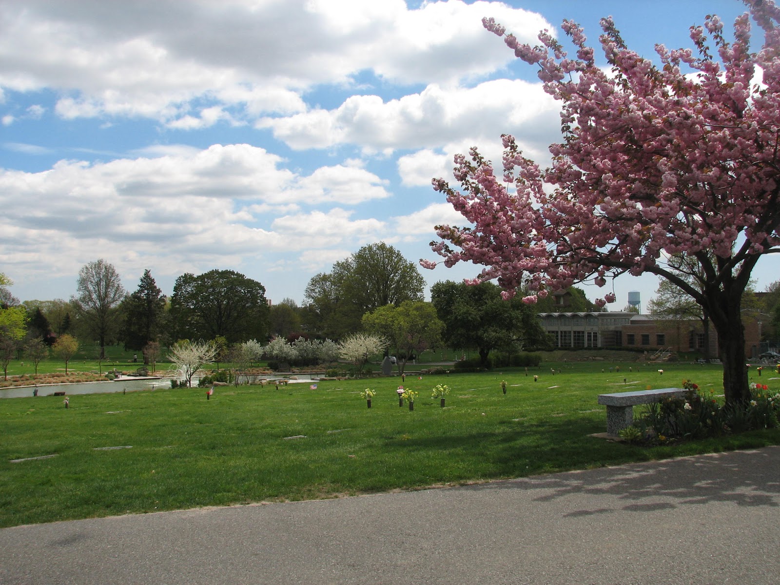 Photo of Maple Grove Cemetery in Kew Gardens City, New York, United States - 2 Picture of Point of interest, Establishment, Cemetery