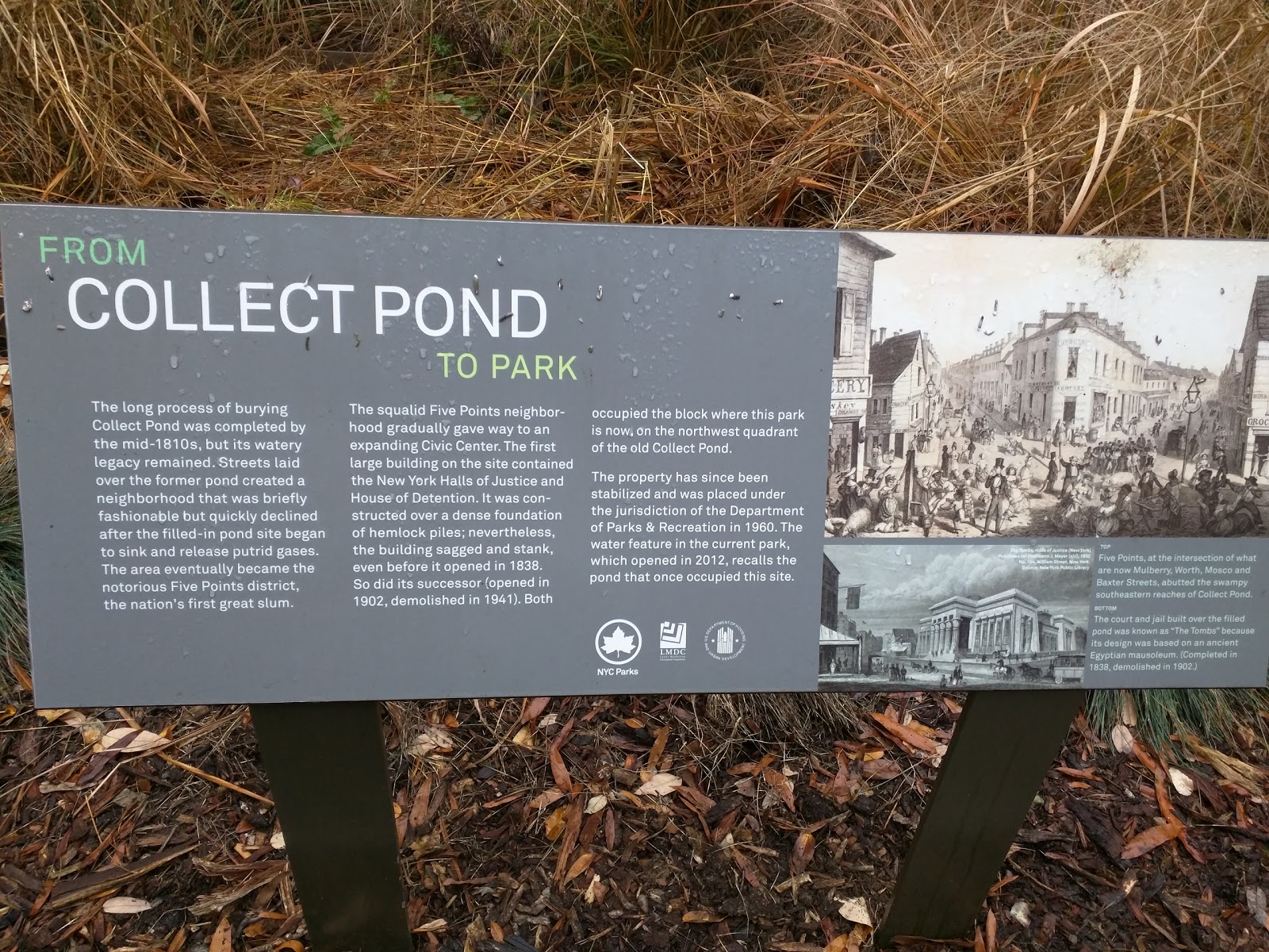 Photo of Collect Pond Park in New York City, New York, United States - 5 Picture of Point of interest, Establishment, Park