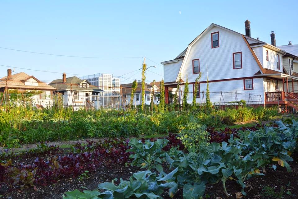 Photo of Edgemere Farm in Far Rockaway City, New York, United States - 3 Picture of Food, Point of interest, Establishment