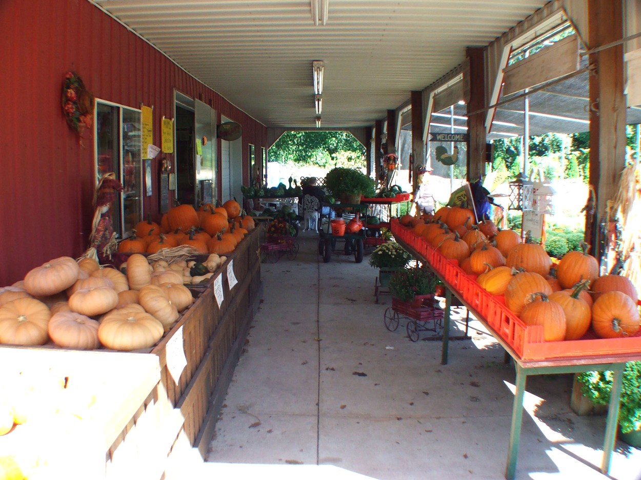 Photo of Ploch's Farm in Clifton City, New Jersey, United States - 2 Picture of Food, Point of interest, Establishment