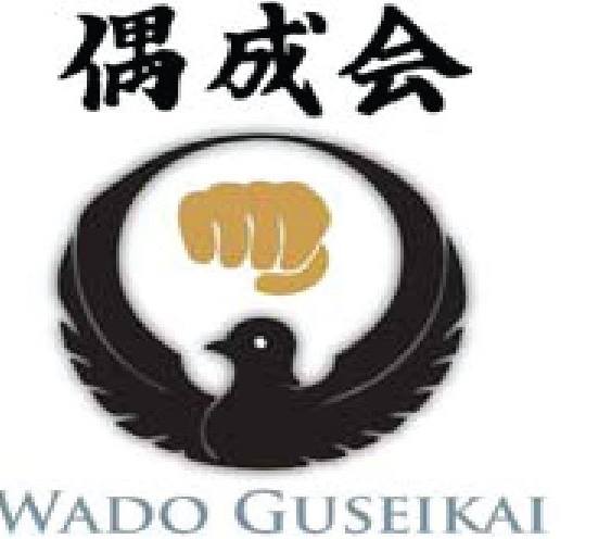 Photo of Wado Kai Karate DO New York in Queens City, New York, United States - 1 Picture of Point of interest, Establishment, Health
