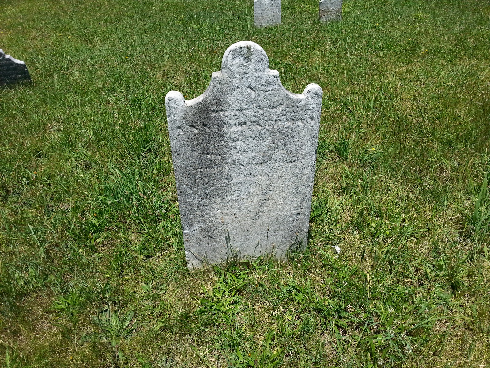 Photo of Hillside Cemetery in New York City, New York, United States - 9 Picture of Point of interest, Establishment, Cemetery