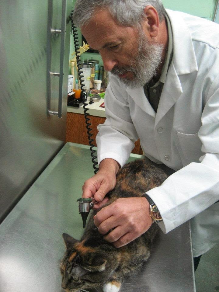 Photo of Riverside Veterinary Clinic in New York City, New York, United States - 8 Picture of Point of interest, Establishment, Veterinary care