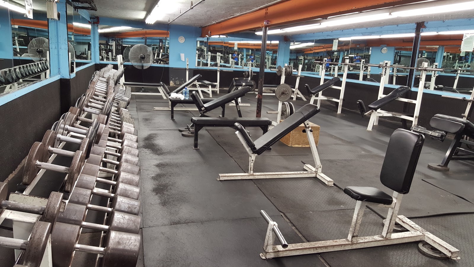 Photo of Powerhouse Gym Bayside in Flushing City, New York, United States - 1 Picture of Point of interest, Establishment, Health, Gym