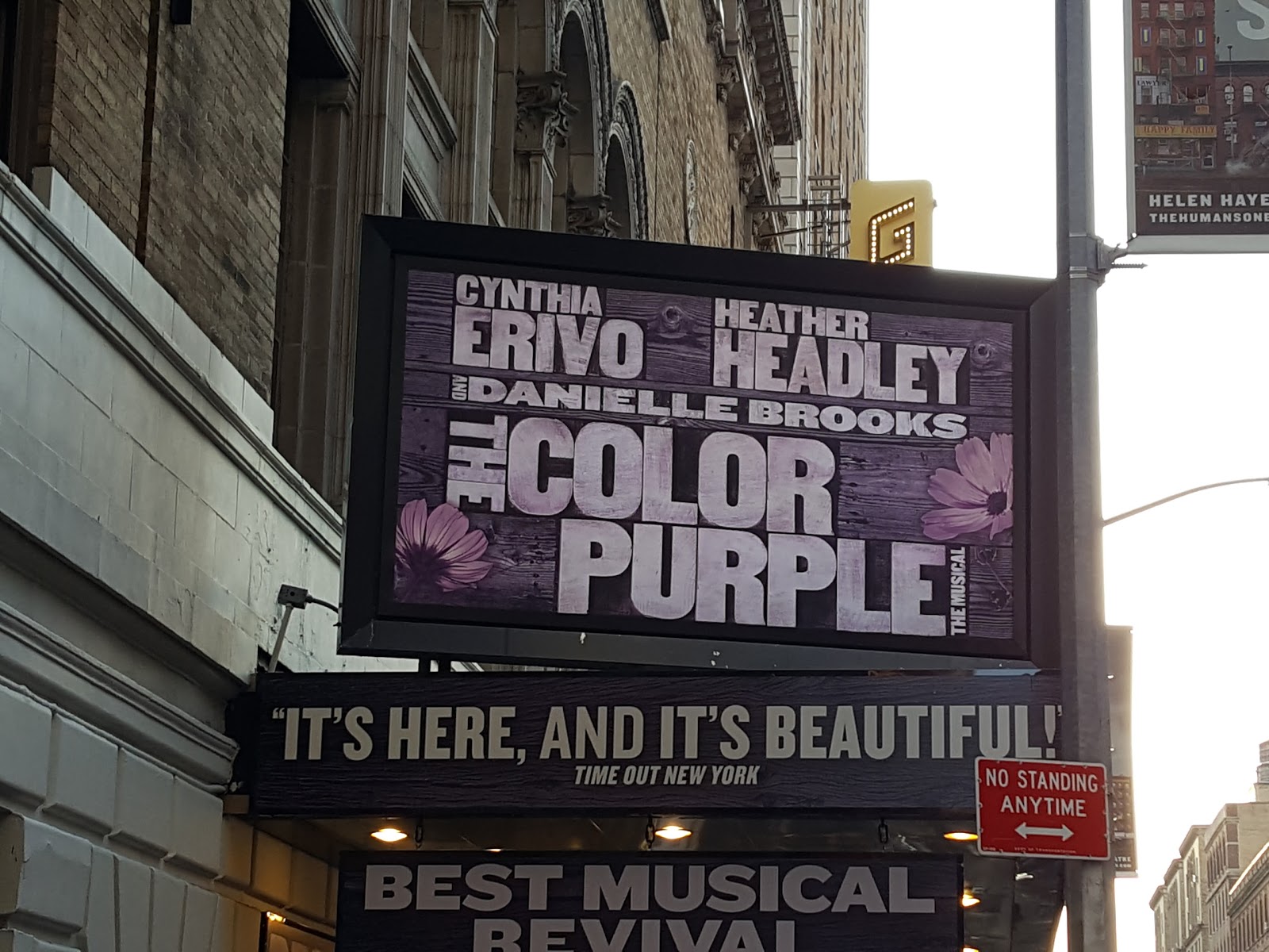 Photo of The Color Purple in New York City, New York, United States - 1 Picture of Point of interest, Establishment