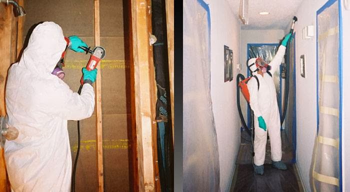 Photo of PrimeAire Mold Removal Specialist in New York City, New York, United States - 7 Picture of Point of interest, Establishment, General contractor