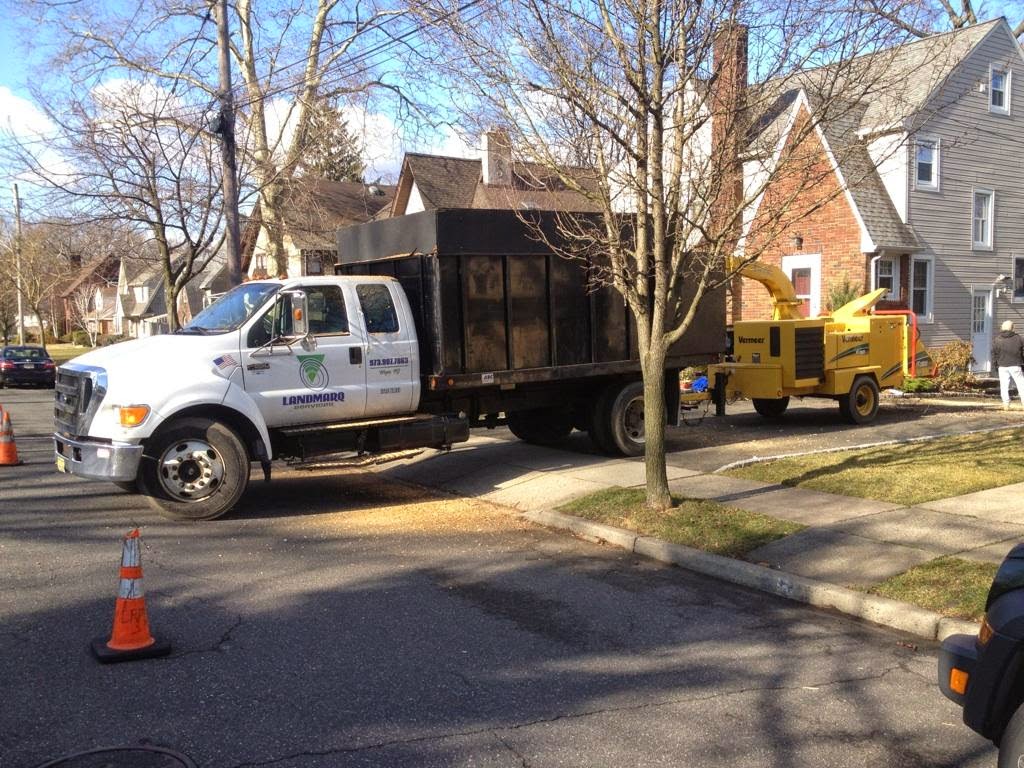 Photo of Landmarq Tree Service in Pompton Plains City, New Jersey, United States - 1 Picture of Point of interest, Establishment