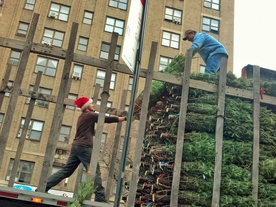 Photo of Christmas Tree Riders in New York City, New York, United States - 5 Picture of Point of interest, Establishment