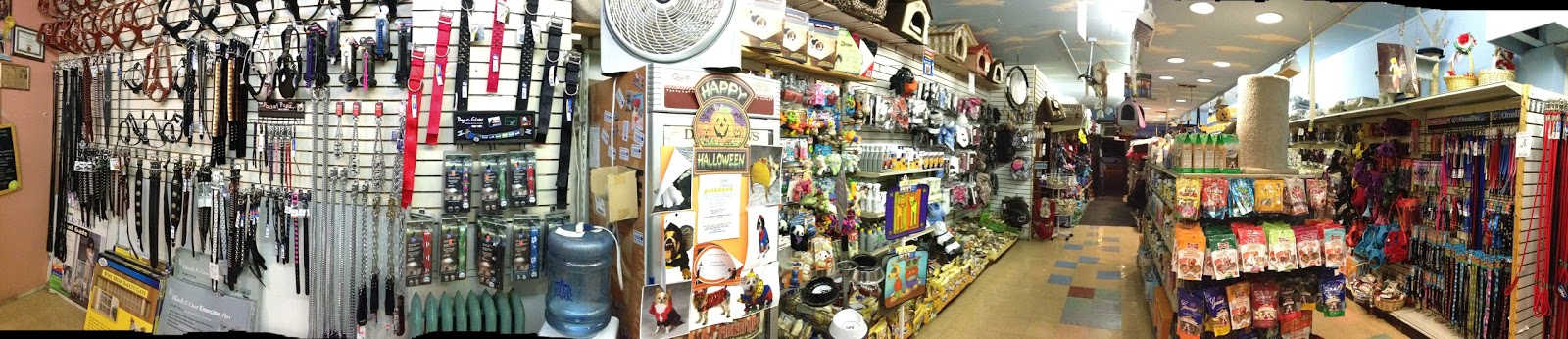 Photo of Puppy Paradise in Brooklyn City, New York, United States - 4 Picture of Point of interest, Establishment, Store, Pet store