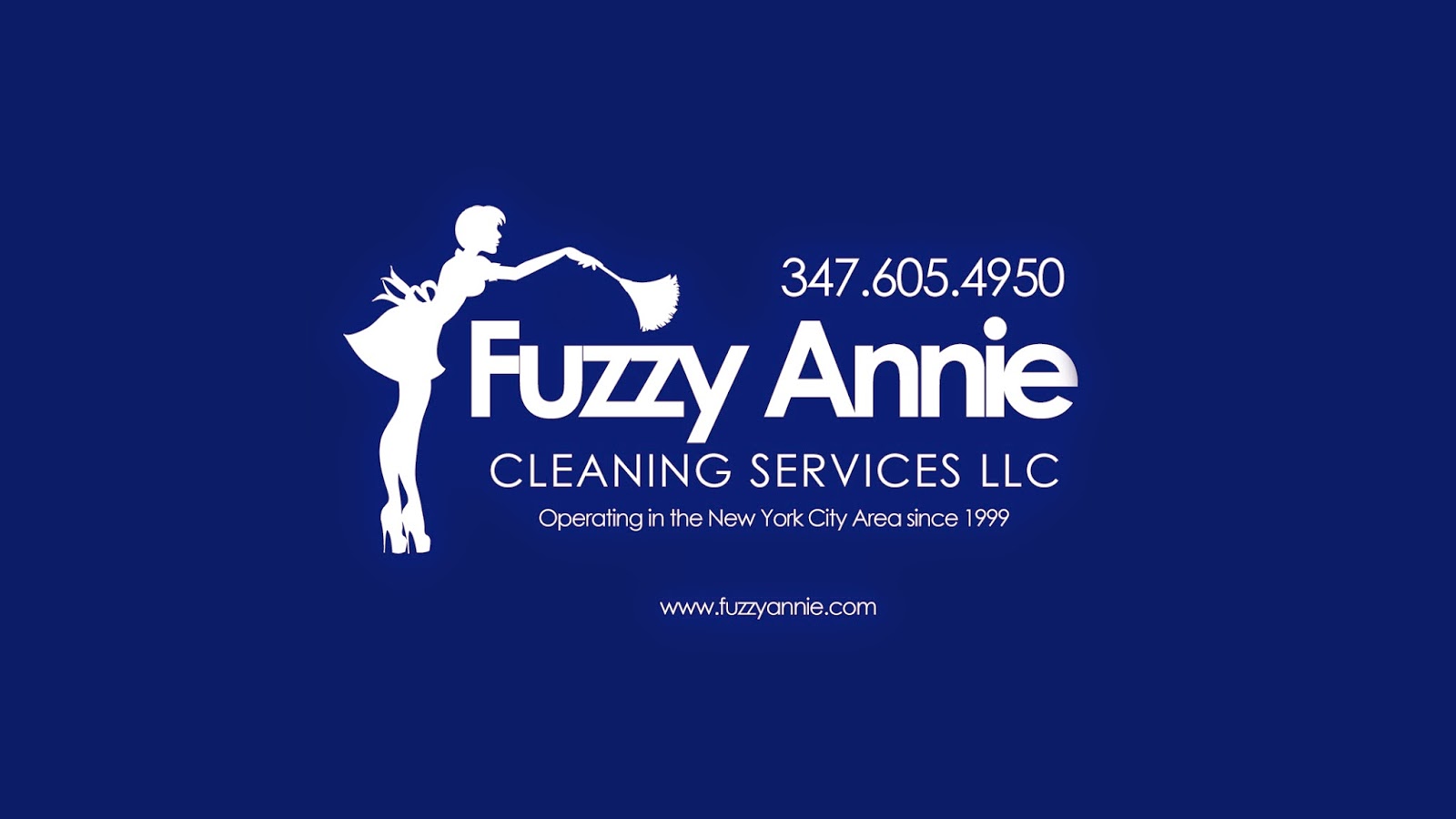 Photo of Fuzzy Annie Cleaning Services in Hempstead City, New York, United States - 1 Picture of Point of interest, Establishment