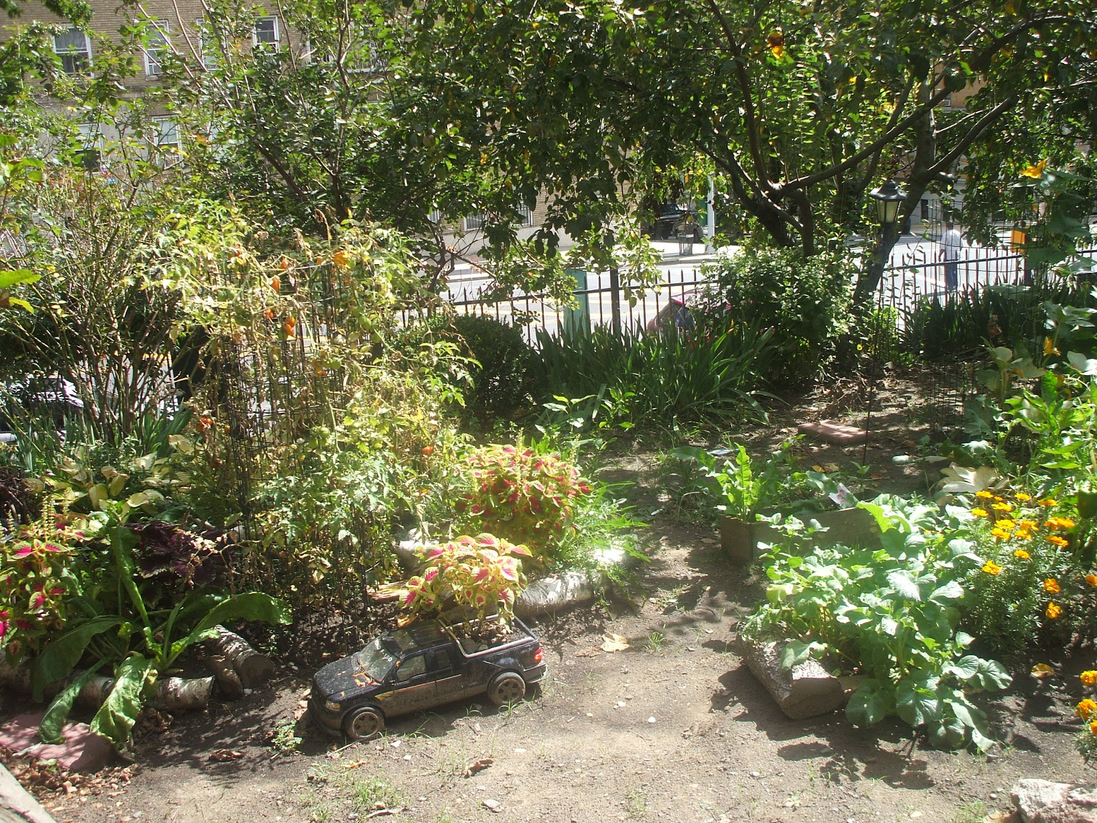 Photo of William A. Harris Garden in New York City, New York, United States - 3 Picture of Point of interest, Establishment, Park