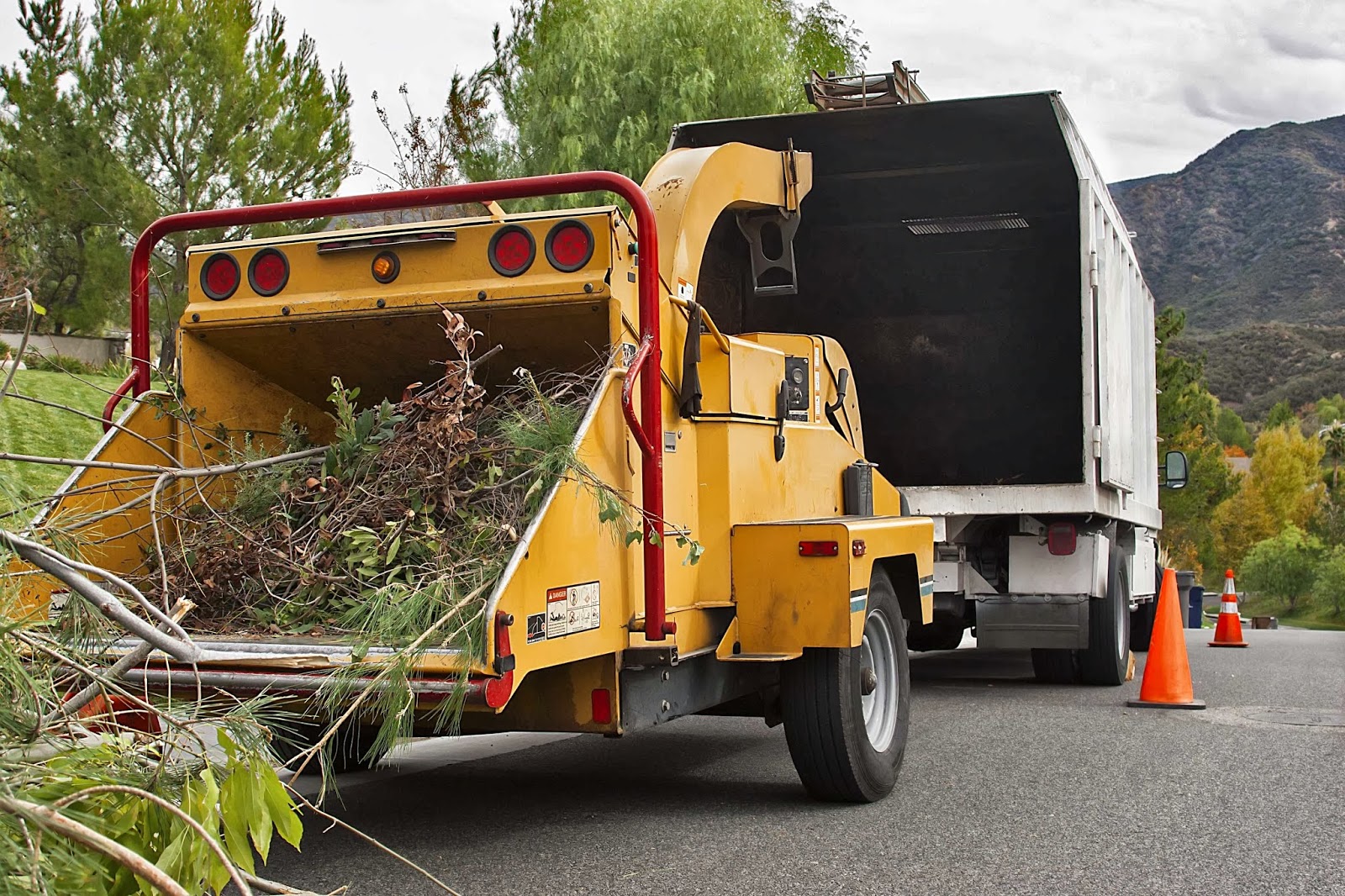 Photo of Amato Tree Services LLC in Union City, New Jersey, United States - 1 Picture of Point of interest, Establishment, General contractor